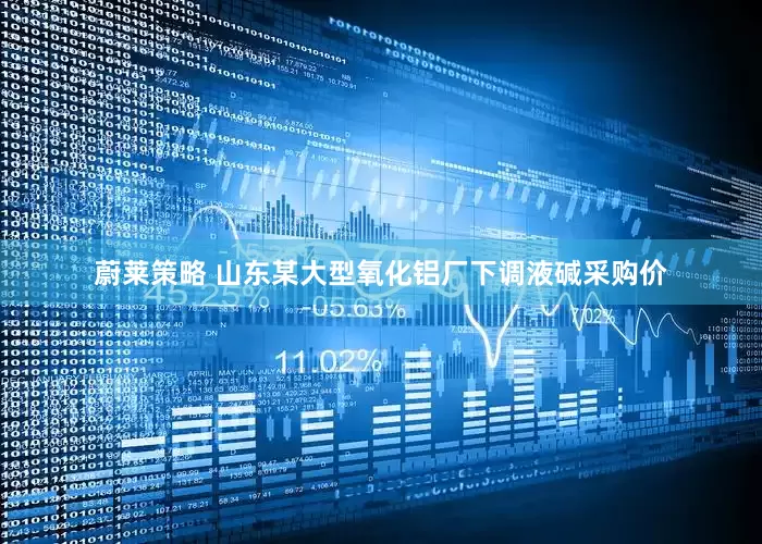 蔚莱策略 山东某大型氧化铝厂下调液碱采购价