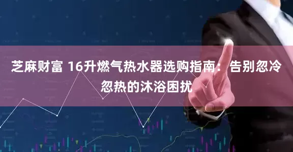 芝麻财富 16升燃气热水器选购指南：告别忽冷忽热的沐浴困扰